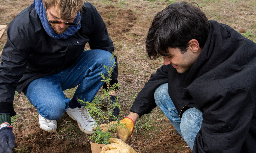 Plantamos el bosque Barbour