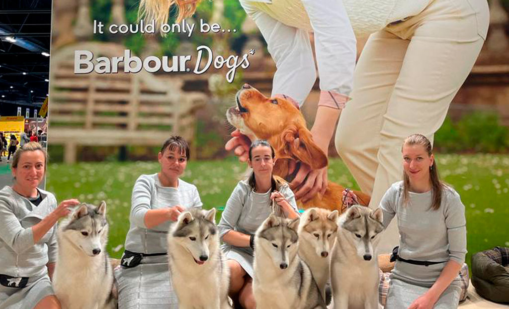 BARBOUR DOGS EN WORLD DOG SHOW 2022