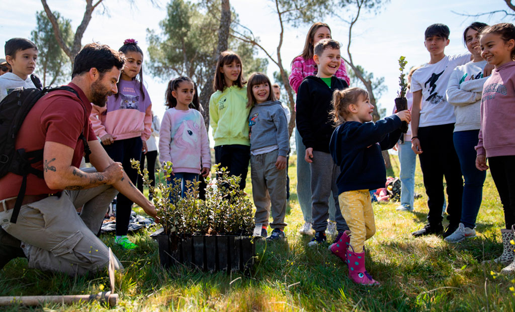 Ogoza planta su segundo bosque Barbour