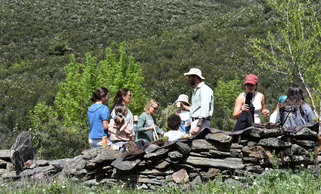 Momento de la salida a pastorear por El Atazar, en la Sierra Norte de Madrid