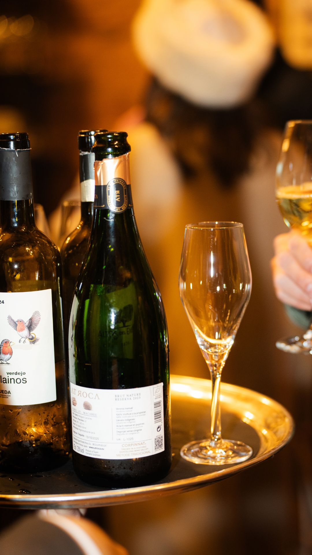 COLMAR VILLA MAGNA (16) COLMAR VILLA MAGNA (16)