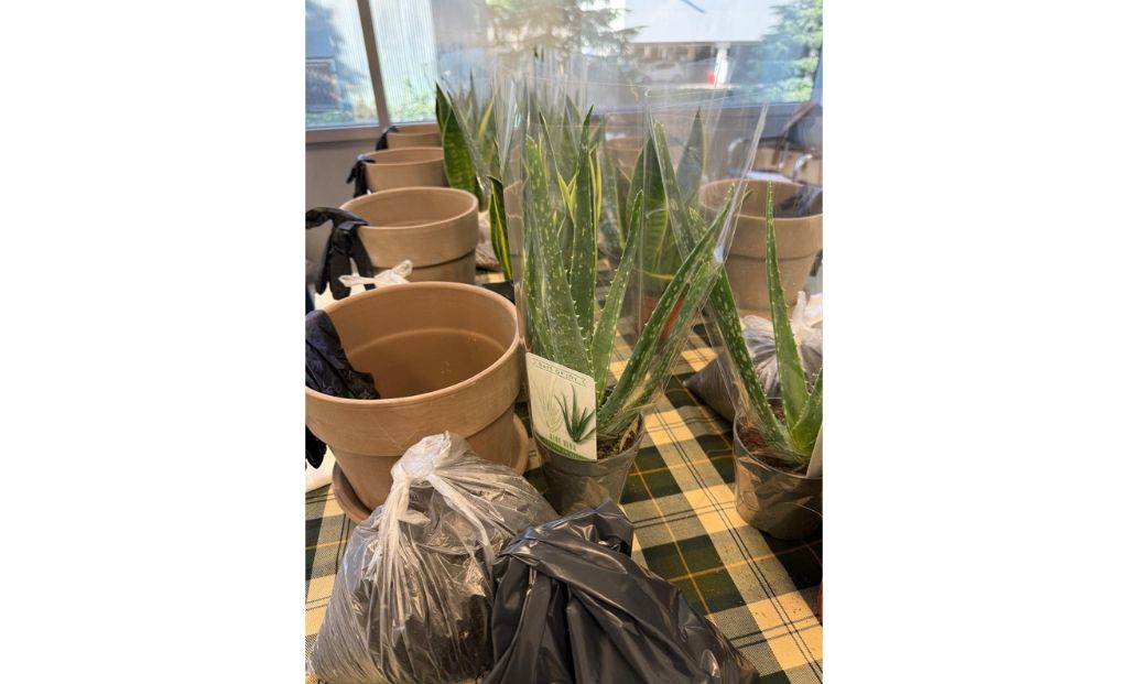 Taller de plantas en Ogoza Fashion