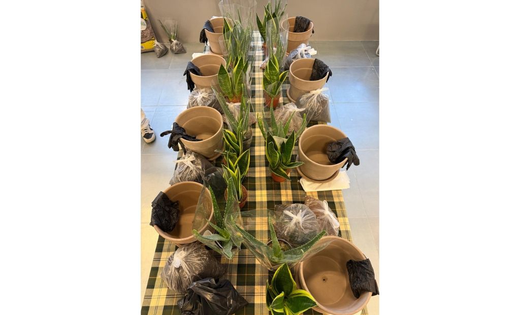Taller de plantas en Ogoza Fashion