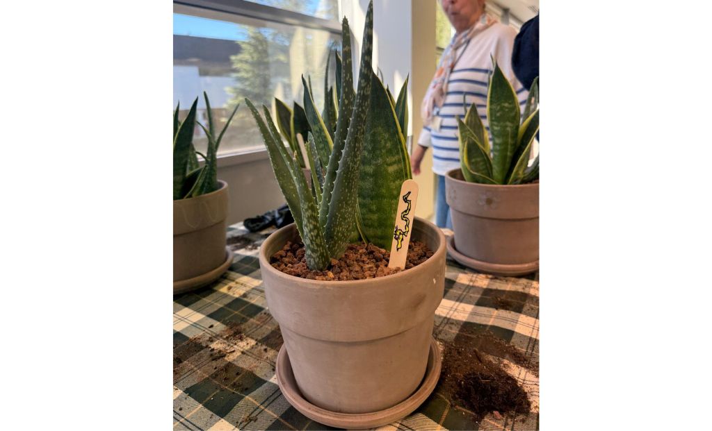 Taller de plantas en Ogoza Fashion