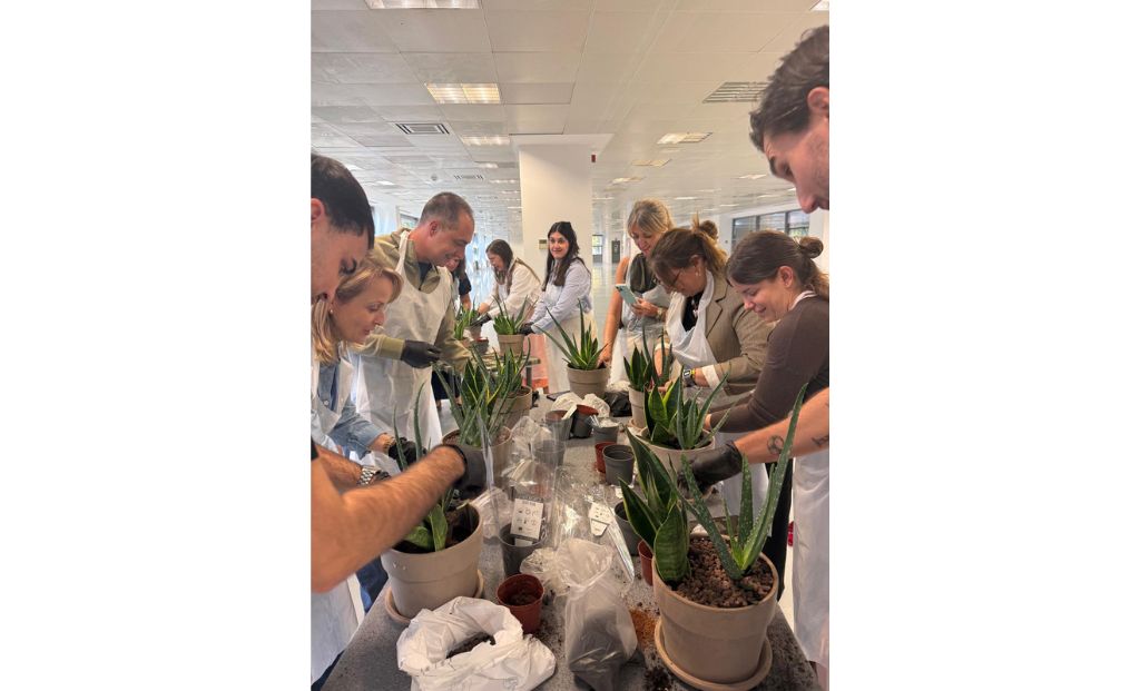 Taller de plantas en Ogoza Fashion